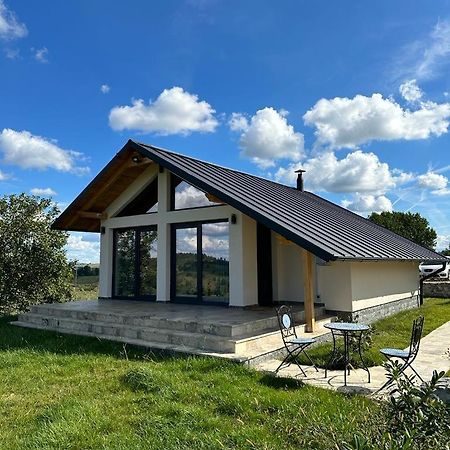 Casa Moderna In Sinteu - Intersectia Intre Modern Si Linistea Naturii Huta Voivozi Zewnętrze zdjęcie