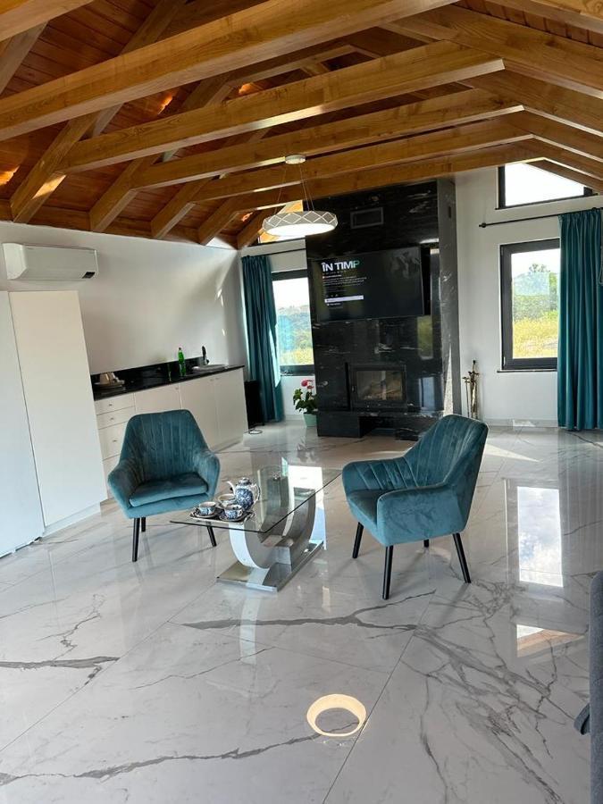 Casa Moderna In Sinteu - Intersectia Intre Modern Si Linistea Naturii Huta Voivozi Zewnętrze zdjęcie