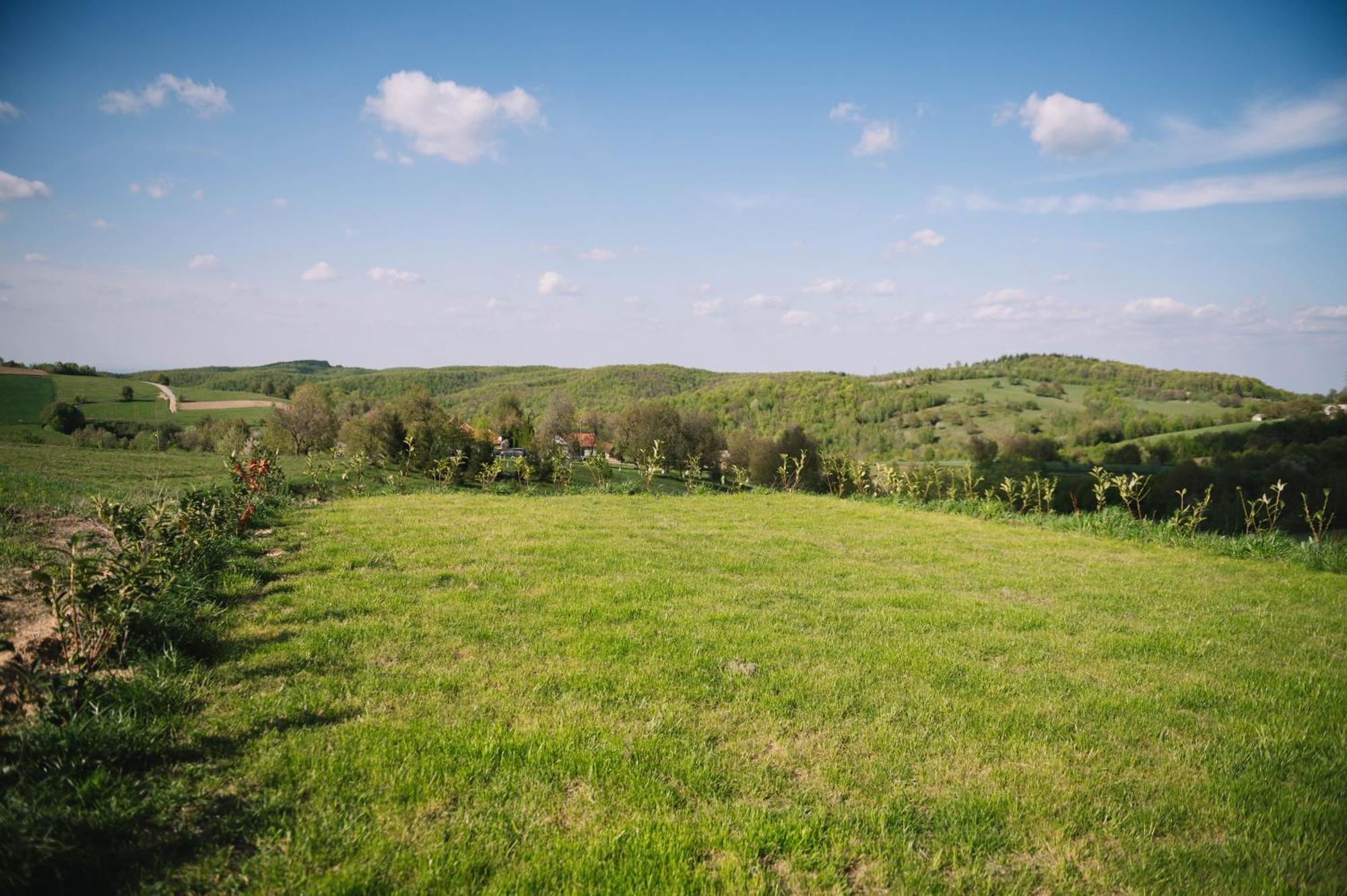 Casa Moderna In Sinteu - Intersectia Intre Modern Si Linistea Naturii Huta Voivozi Zewnętrze zdjęcie