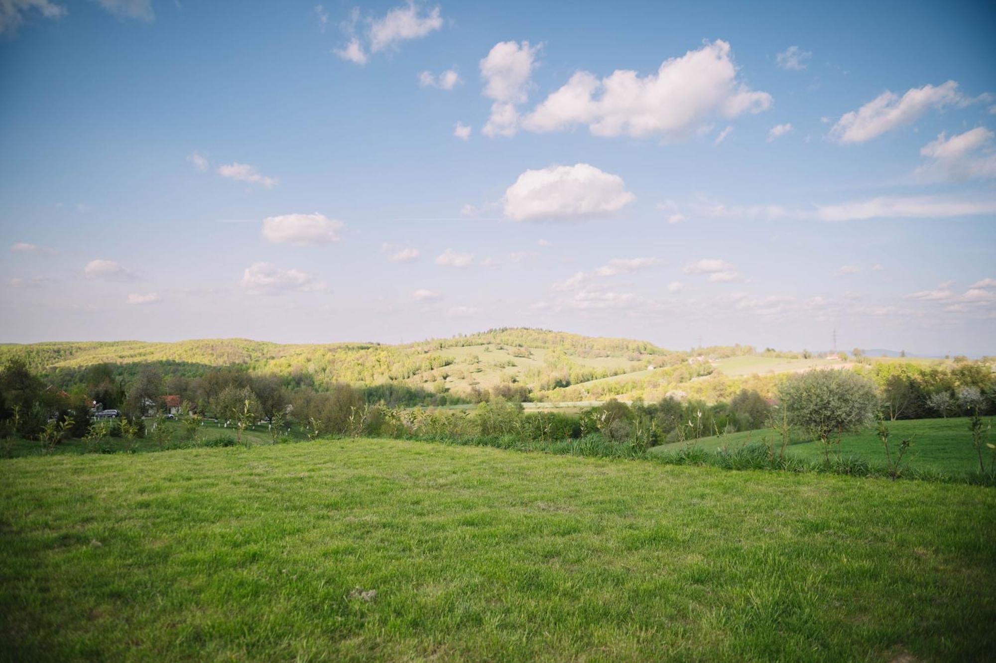 Casa Moderna In Sinteu - Intersectia Intre Modern Si Linistea Naturii Huta Voivozi Zewnętrze zdjęcie